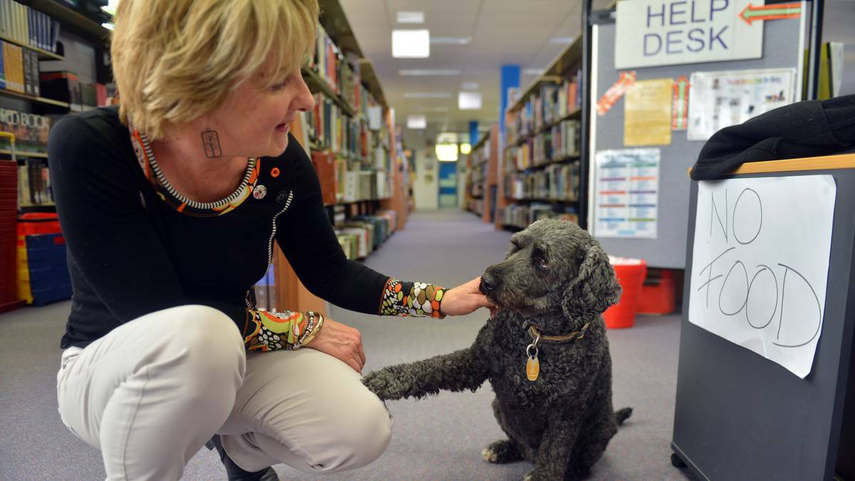 BENDIGO ADVERTISER: BSSC Library technician Jenn Needham and Roxy, the labradoodle who, since losing her brother, has become an unofficial library assistant at the school. Picture: Brendan McCarthy 