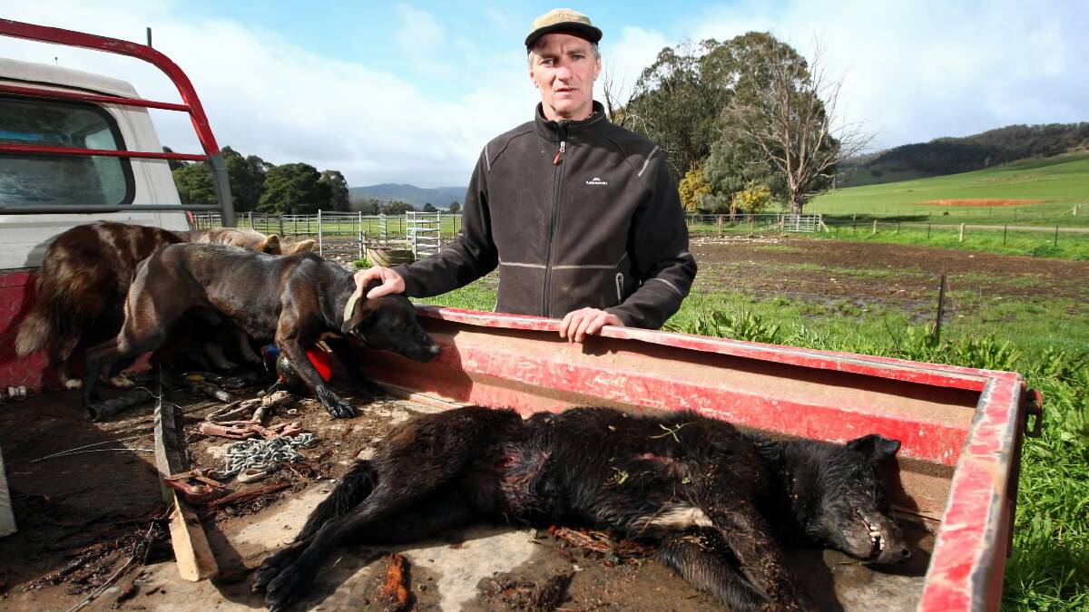 Adrian Hobbs with his dead working dog Neville. Picture: MATTHEW SMITHWICK