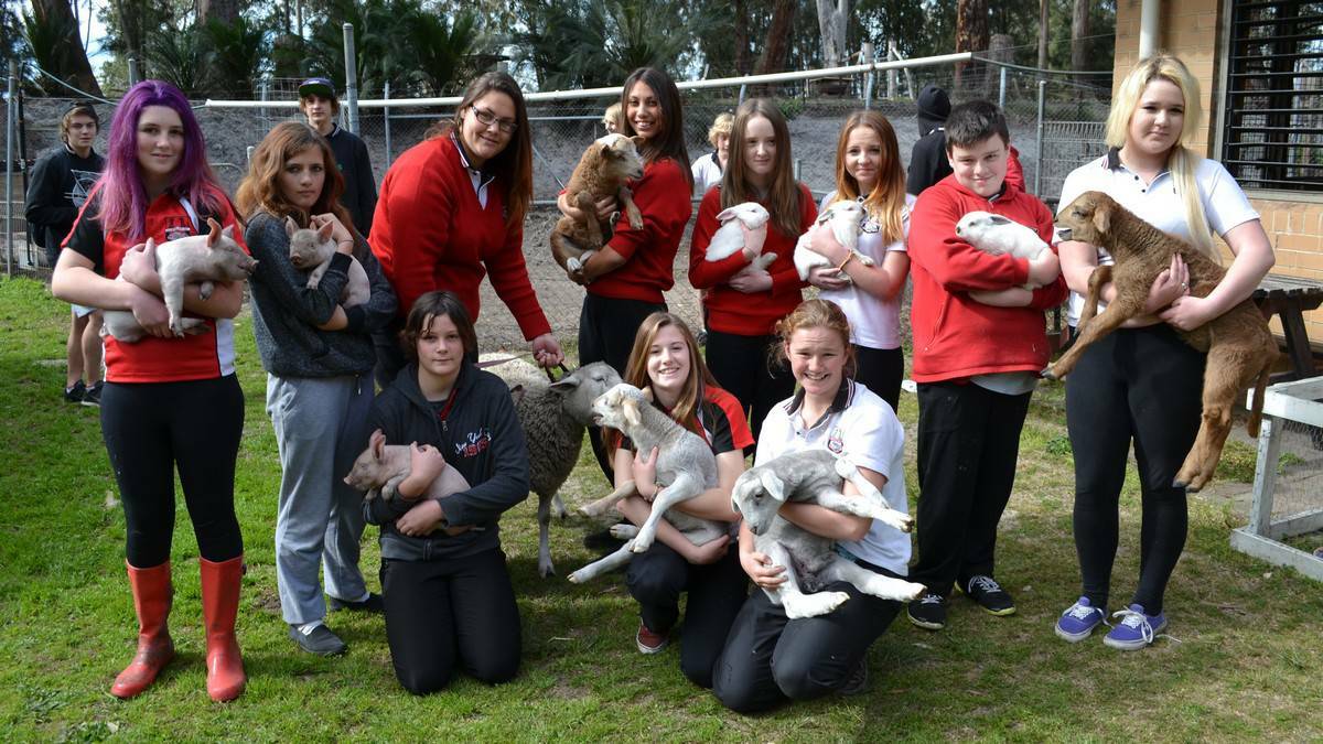 A year after a vicious dog attacked decimated their herd, Batemans Bay High School students Caitlin Maguire, Tanni Hoadley, Katlin Reynolds, Melissa Bertosa, Marissa Allen, Kiera Xuereb, Hayley Dunn, Ruby Dunn,   Jackson Bennett, Paige McPherson and Jessica Taber are pictured with some of the school’s four-legged friends from the agricultural area. Picture: Josh Gidney
