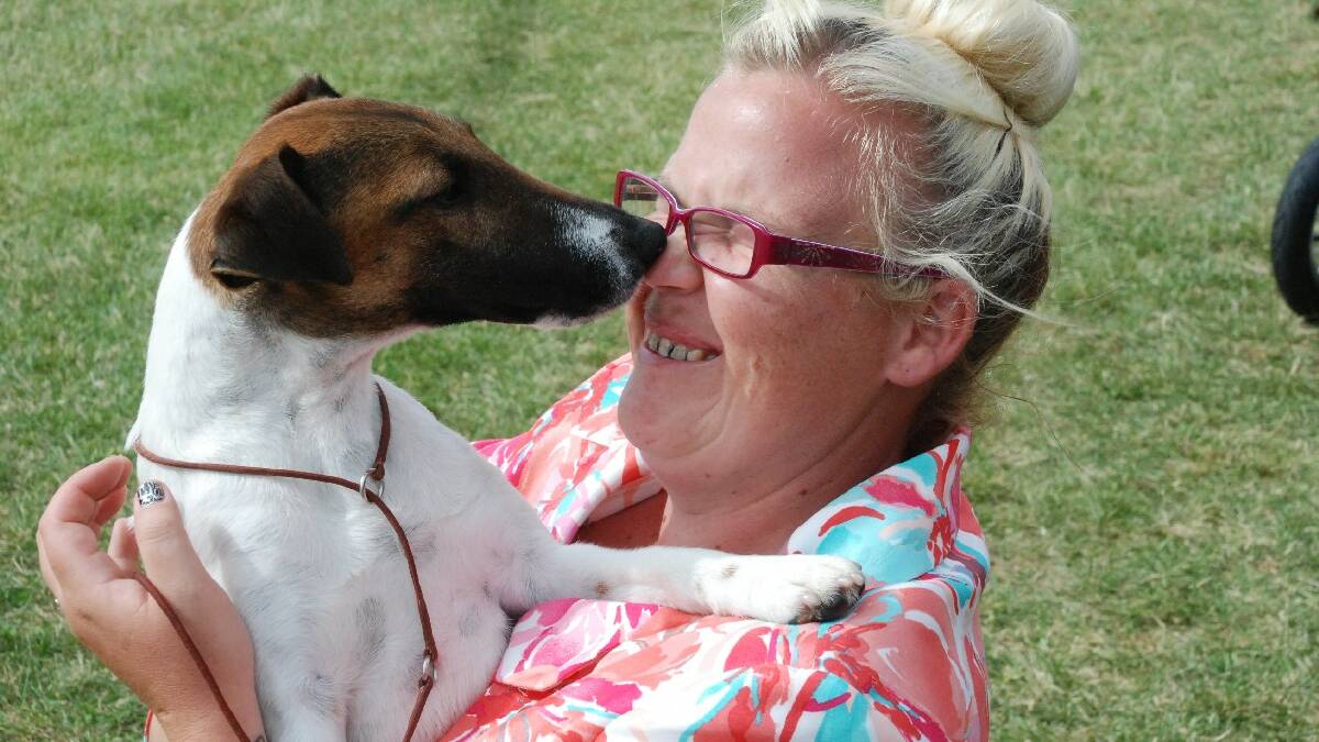 COOMA: A very affectionate smooth Fox Terrier named Skip just loves his owner Kelly Scott of Grenfell who was one of the participants of the Far South East Kennel Club   Dog Show at Cooma Showground.