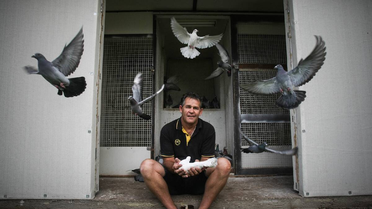 Albion Park Oak Flats Pigeon Racing Club secretary Warren Glover with his pigeons at home. Picture: DYLAN ROBINSON