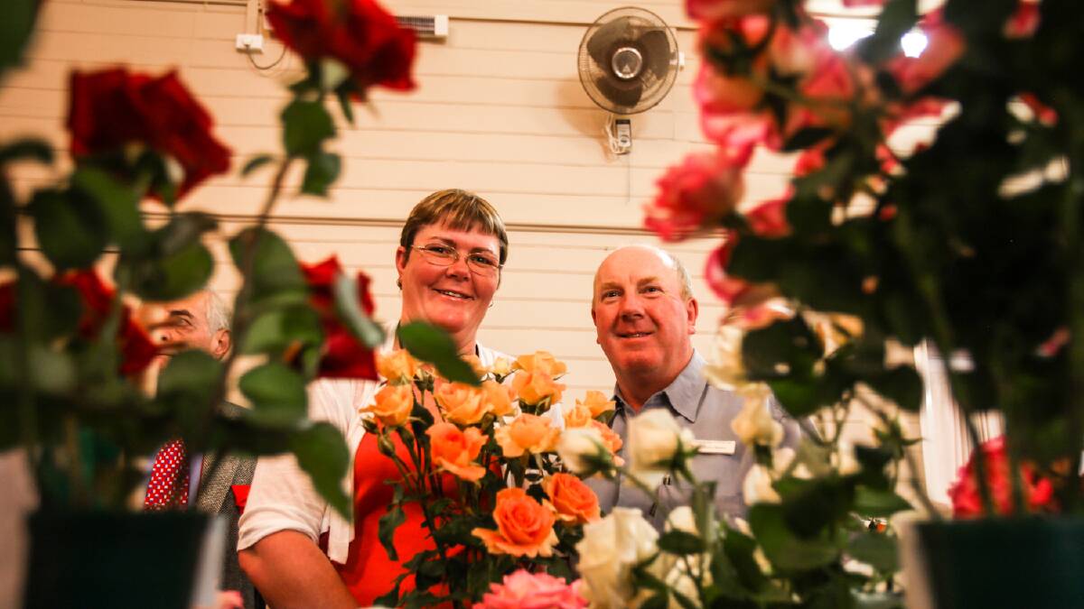  Illawarra Rose Society Rose Show Jamberoo. Trish and Steve Maher from Goulburn were the A Grad winners with their Brass Band Rose. Picture: DYLAN ROBINSON