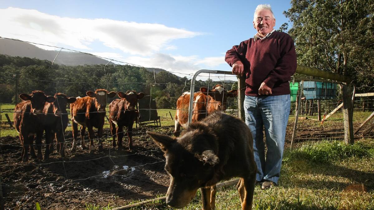 Jamberoo dairy farmer John Downes sold his cows and retired from the dairy industry. Picture: DYLAN ROBINSON