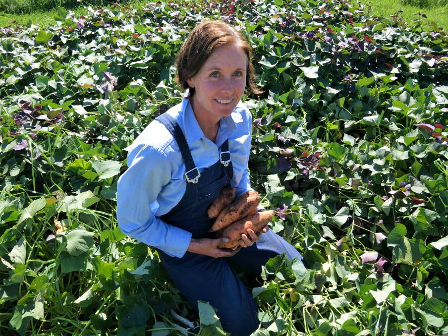 Kirsty in the sweet potato patch. 