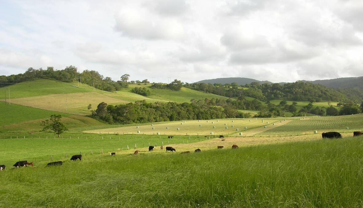 Rural land at Golden Valley Road in Jamberoo will be rezoned to make way for housing.