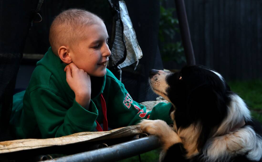 Eleven-year-old Jet taking time out with his special mate Millie. The 11-year-old has had a tough few months battling cancer. Photos: Sylvia Liber