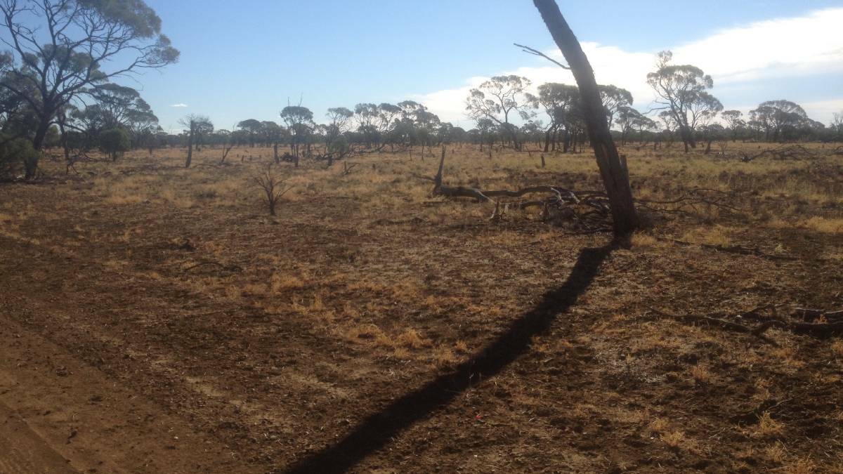 More south-east Qld councils drought declared