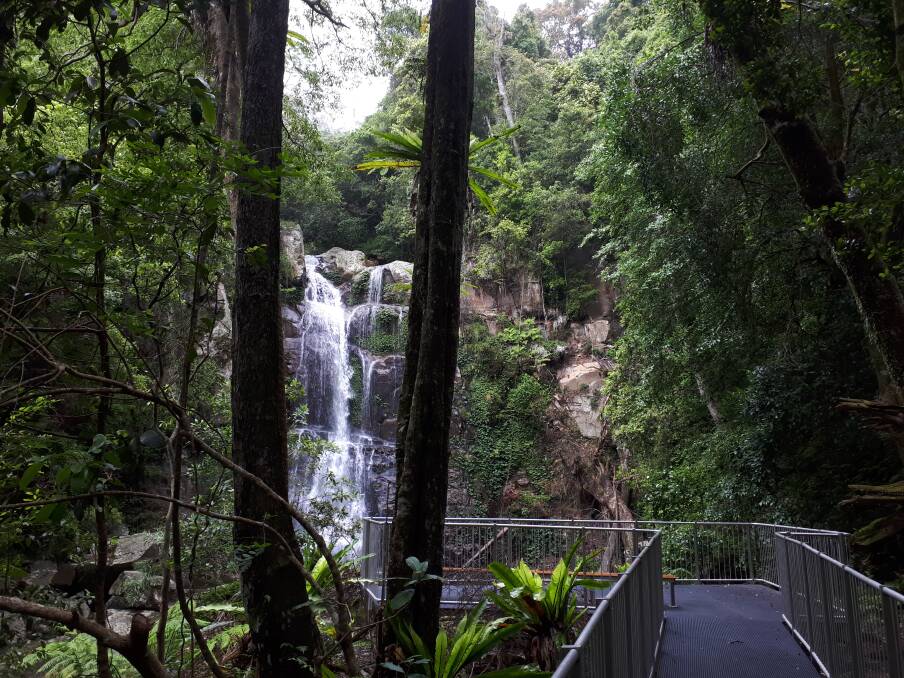 About 100,000 people visit Minnamurra Rainforest Visitors Centre each year.


