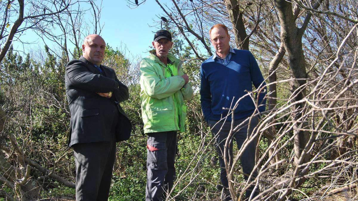 ANGRY: Director of engineering and work Gino Belsito, Cr Don Watson and Cr Andrew Sloan inspect the site at Jones Beach where a stretch of banksia trees died in July, 2017