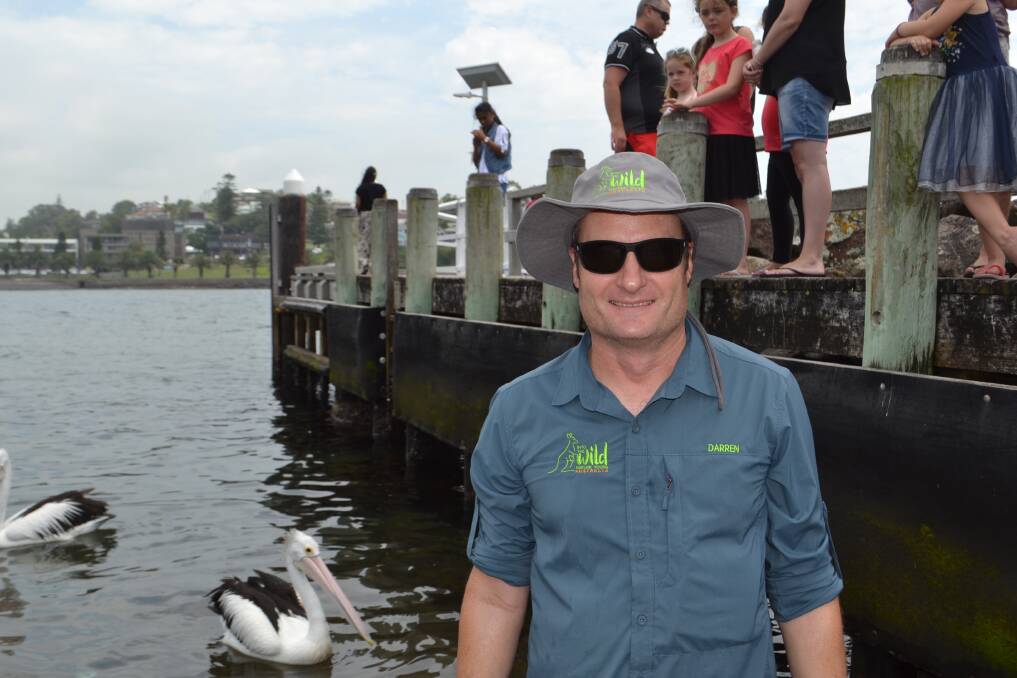 Darren O'Connell runs a free stingray show from the Kiama boat ramp each Sunday morning.