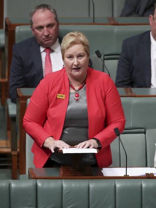 ENOUGH IS ENOUGH: Gilmore MP Ann Sudmalis' speech to the house on Monday night where she accused Kiama MP Gareth Ward of bullying and undermining her. Photo: Alex Ellinghausen