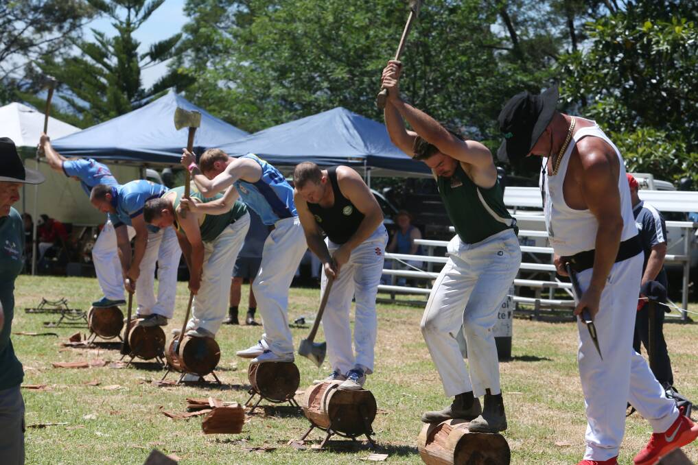 Wood-chopping is still a popular competition for Albion Park Show Society - drawing many competitors and spectators. Picture: Robert Peet