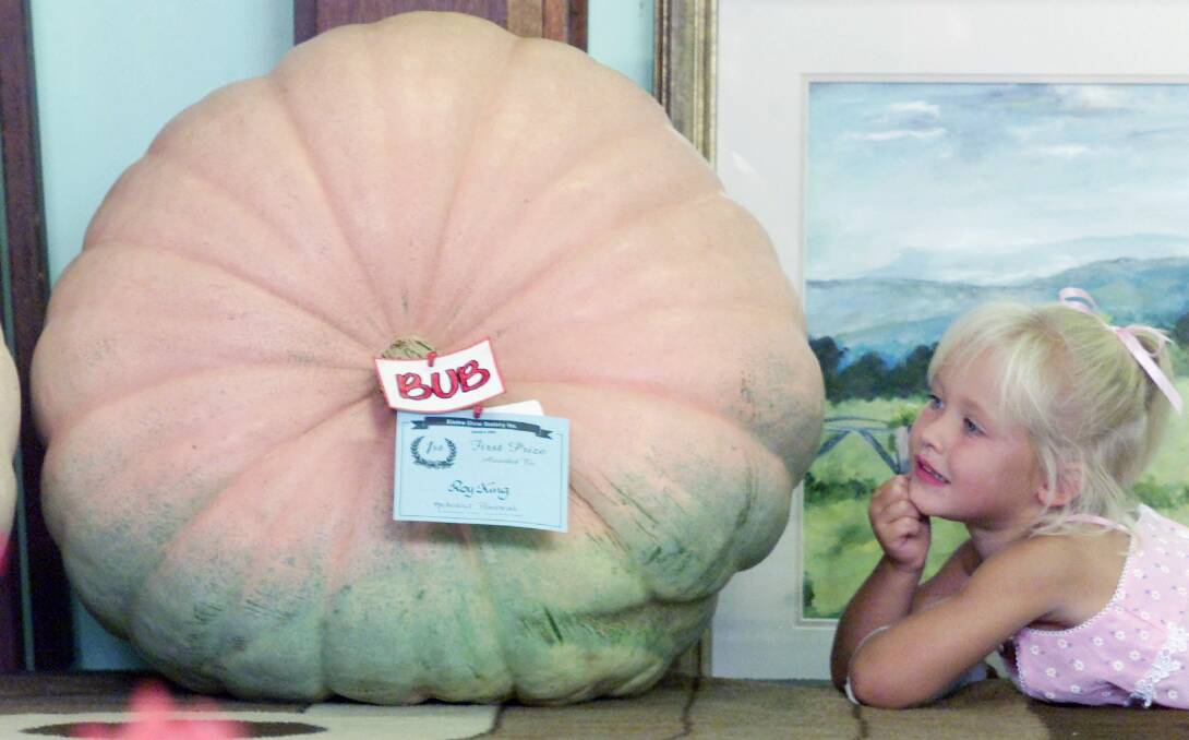 FLASHBACK: Samantha Plum looking at Roy Kings giant pumpkins at the Kiama show in 2001. Picture: Robert Peet