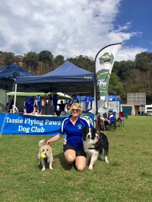 Hundreds of hounds in Kiama for Australian Flyball race meeting