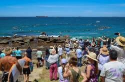 Onlookers watch the paddle-out against the proposed offshore wind farm zone. Picture by Wesley Lonergan
