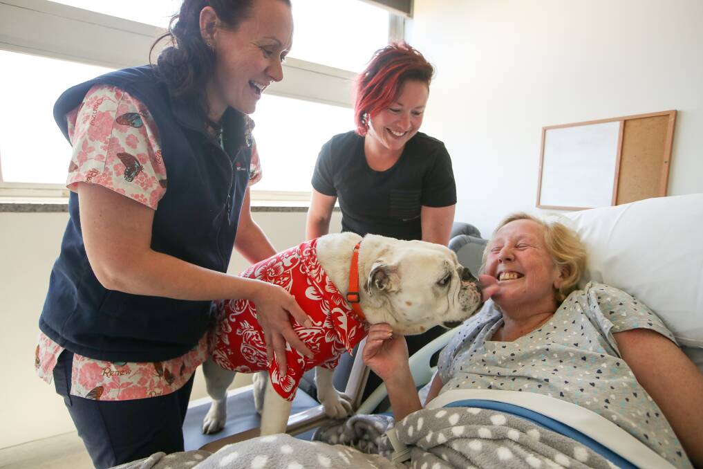 Puppy love: Port Kembla Hospital palliative care patient Anna McCarthy got a kiss from George Wilson during his Friday visit while daughter Melissa Sergeant and nurse Tammy Kinlyside looked on. Pictures: Adam McLean