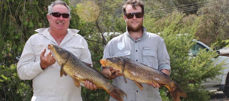 Dam double: Father and son team Gordon and Mitchell Jobson with a pair of fly caught carp from the recent Burrinjuck Dam convention.