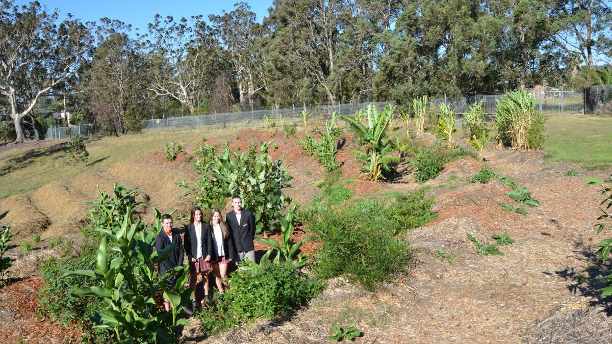 PROJECT LEADERS: Albion Park High School students Logan Stubbs, Amber Pifferi, Olivia Henderson-Spokes and Sebatian Mitchell at the new permaculture garden.
