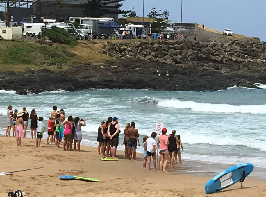 A Mercury reader reported a sighting of a great white chasing a seal at Surf Beach on Wednesday. Pictures supplied by Paul Tomlinson. 