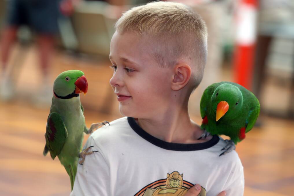 Two parrots perched on a boy's shoulders at a past bird show.