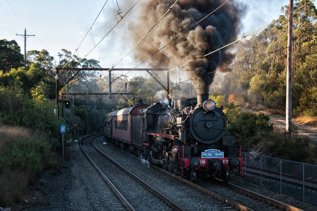 CHOO CHOO: Steam trains will be departing from Wollongong train station for Scarborough on the weekend of November 9 and 10. Photo: Supplied