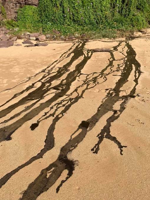 Sydney Water says Bombo Beach spill was mud