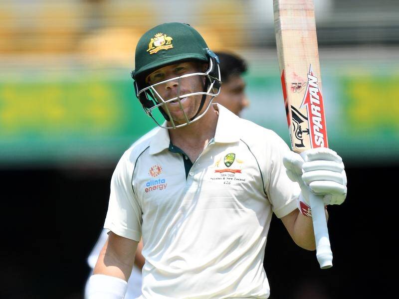 David Warner is 99 not out at tea on day two of Australia's first Test against Pakistan in Brisbane.