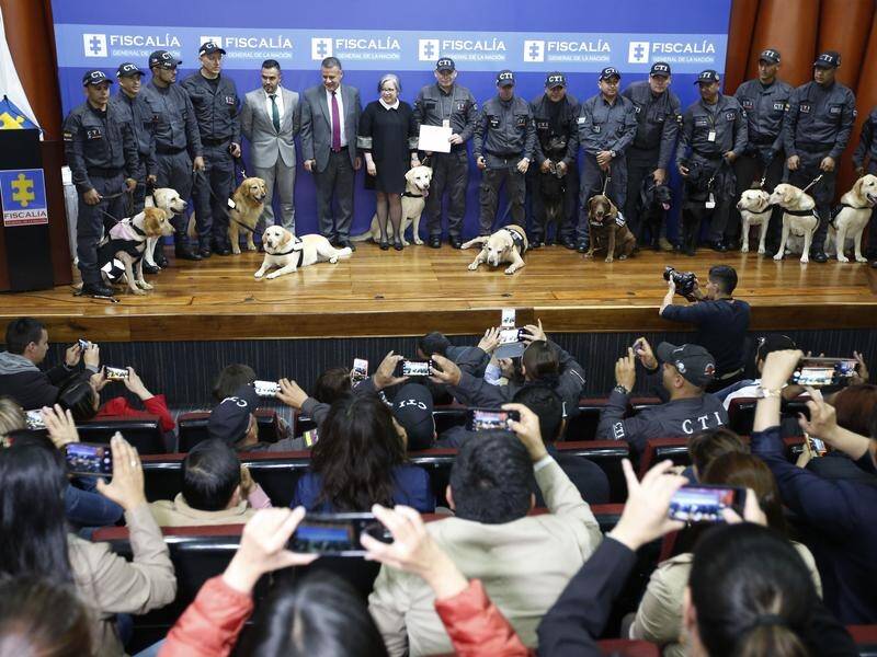 Sniffer dogs and their handlers have been honoured for their work at a ceremony in Bogota, Colombia.
