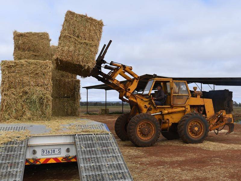 The scammer ripped off drought-ravaged farmers through a dodgy hay bale schemes.