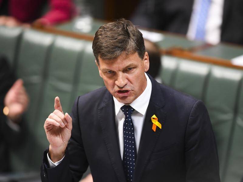 Energy and emissions reduction minister Angus Taylor says Australia already has "strong targets".