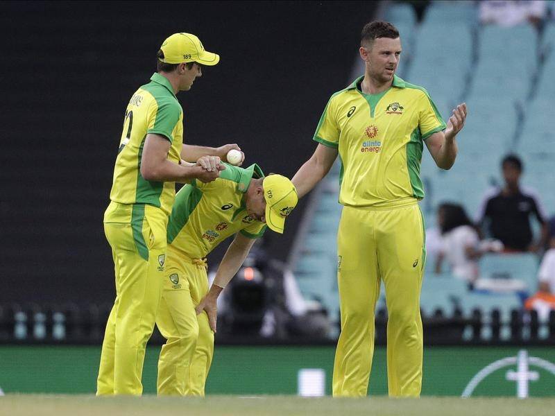 David Warner had to be sent for scans after leaving the field with a groin strain in the second ODI.