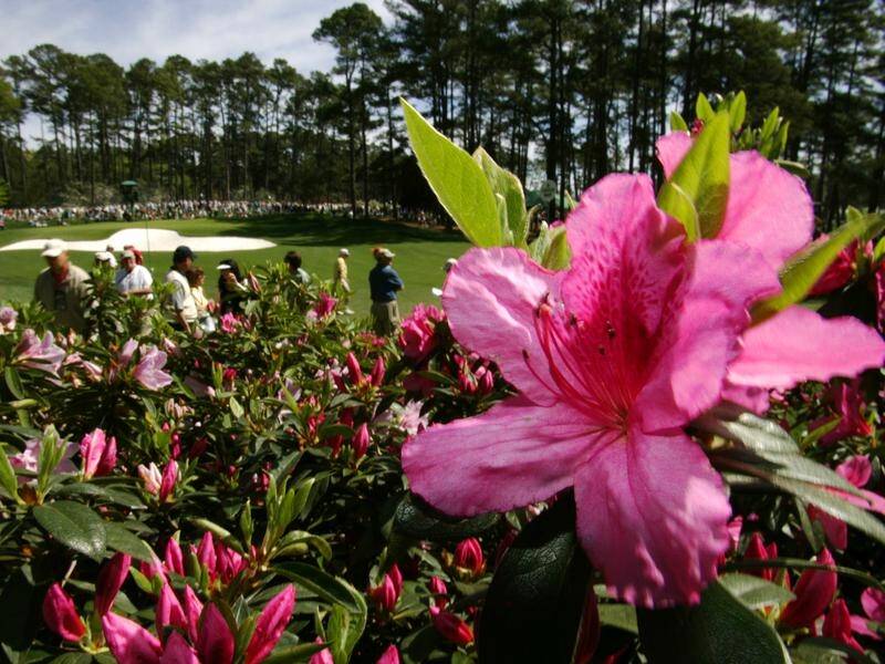 The Augusta National golf course, home to the US Masters, could be equally beautiful in autumn.
