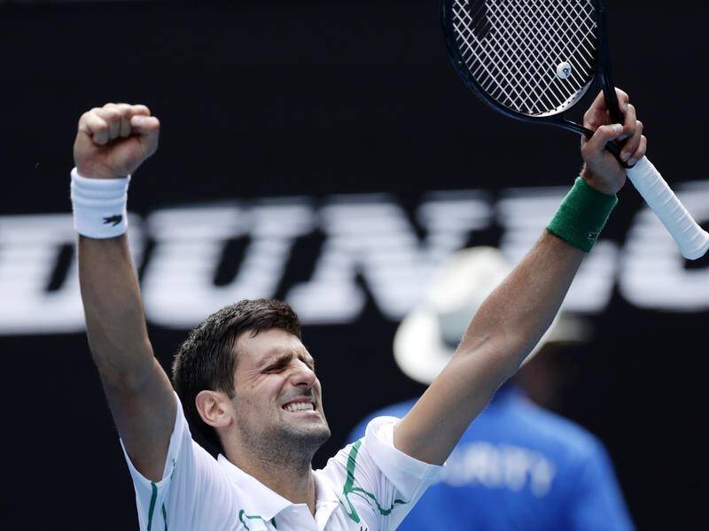 Novak Djokovic has breezed into the Australian Open quarter-finals, downing Diego Schwartzman.