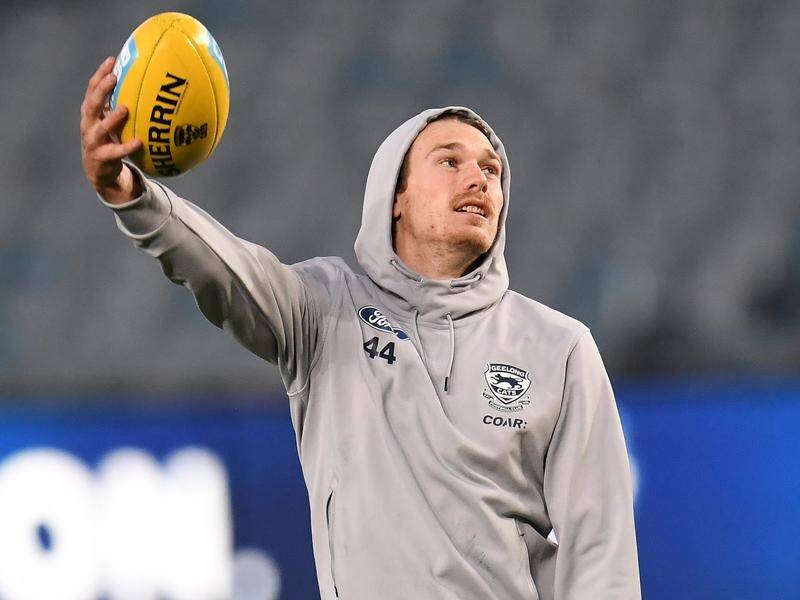 Tom Stewart will assist in coaching the Cats' AFLW team.