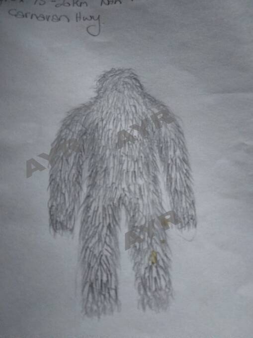 A witness sketch of the creature spotted north of Roma. Picture: Australian Yowie Research 