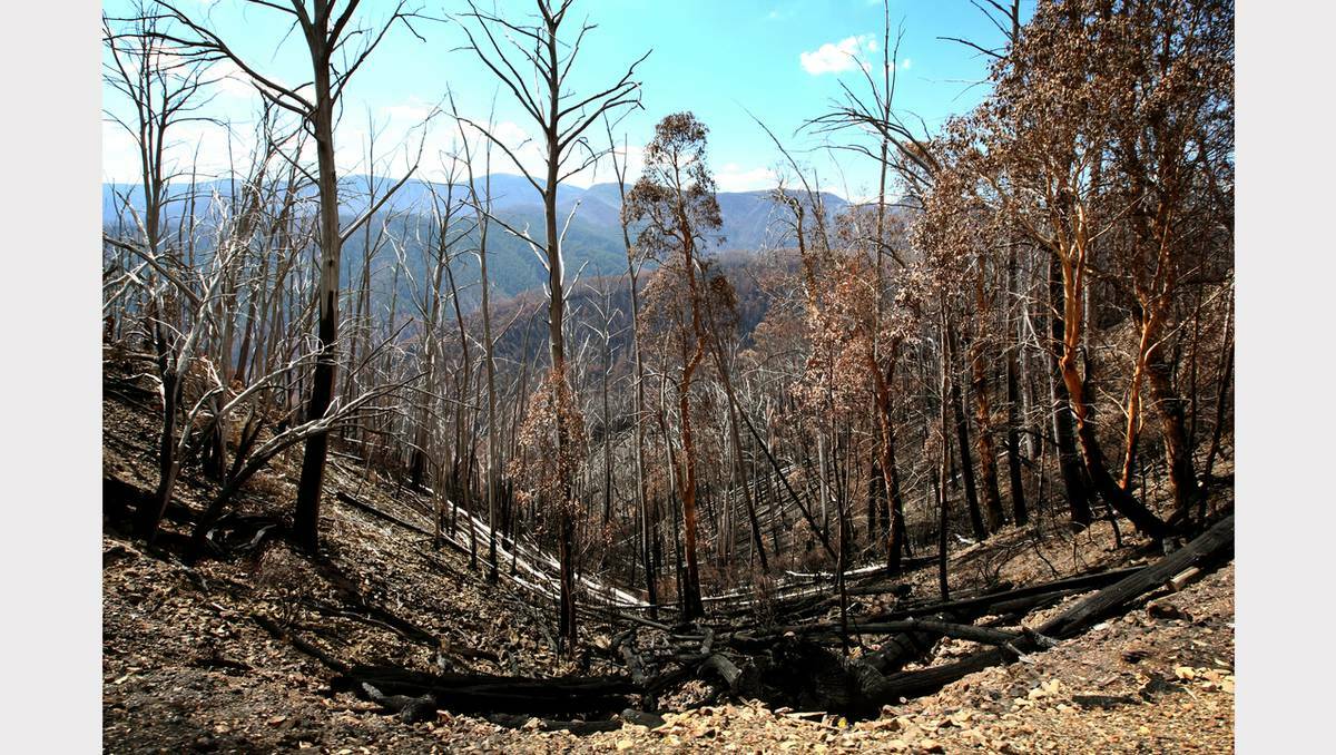 Damage to the Great Alpine Road, following massive bushfires in the area.
