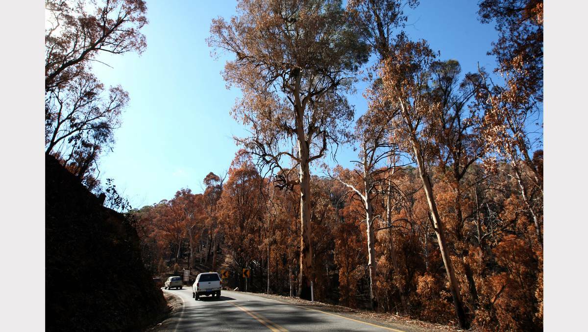 Damage to the Great Alpine Road, following massive bushfires in the area.